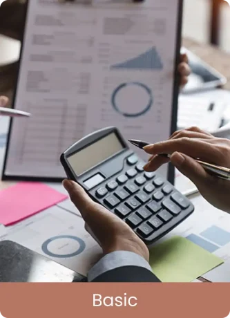 basic-accounting